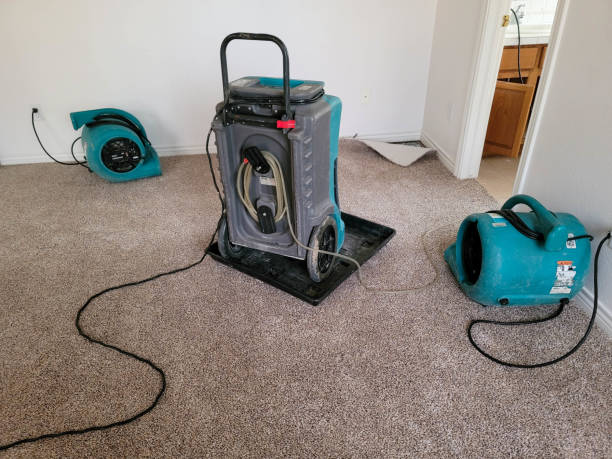 Best Ceiling water damage repair  in Lakeland North, WA