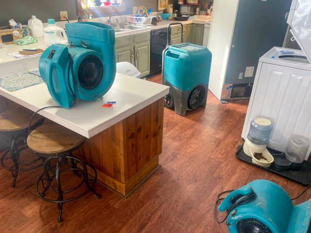 Best Residential water damage restoration  in Lakeland North, WA