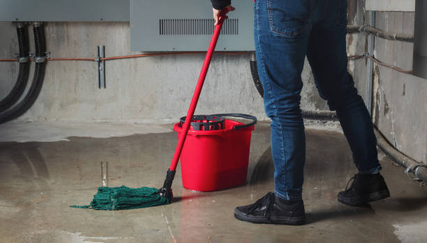 Best Mold removal after water damage  in Lakeland North, WA