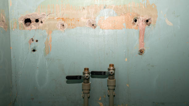 Best Sewage cleanup and water damage restoration  in Lakeland North, WA