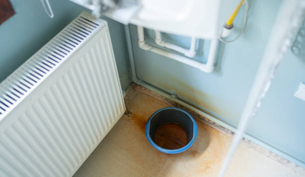 Best Water damage restoration company  in Lakeland North, WA