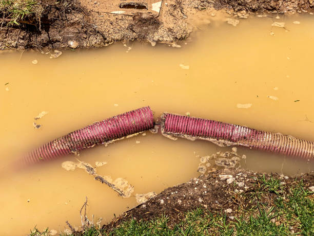 Best Residential water damage restoration  in Lakeland North, WA