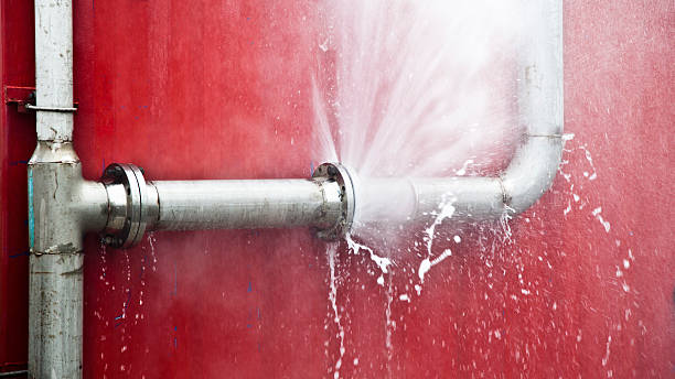 Best Mold removal after water damage  in Lakeland North, WA