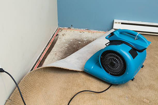 Best 24-hour water damage restoration  in Lakeland North, WA